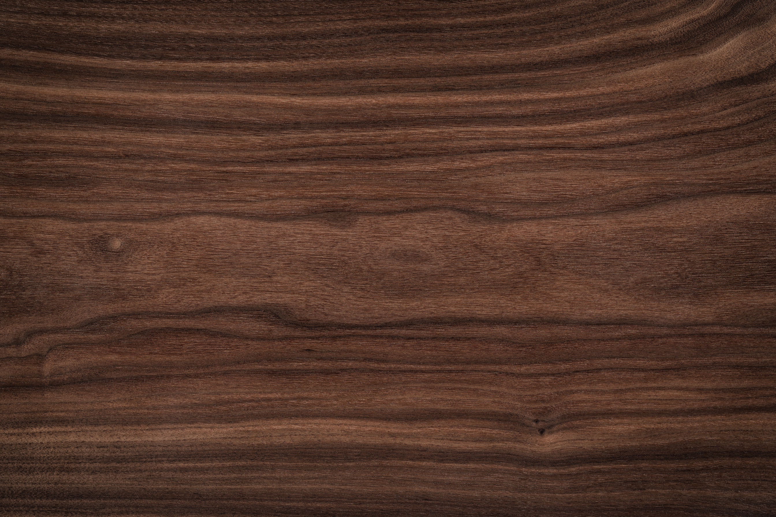 Walnut wood texture